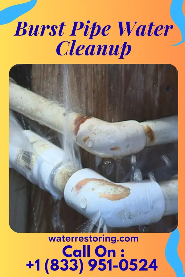 Burst Pipe Water Cleanup in Mechanicstown, NY