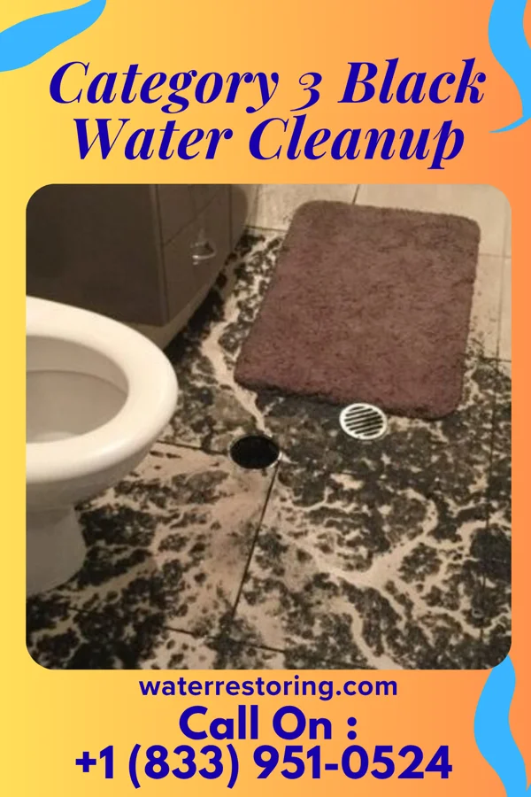 Category 3 Black Water Cleanup in Mechanicstown, NY
