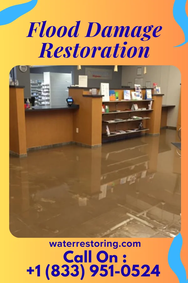 Flood Damage Restoration in Mechanicstown, NY