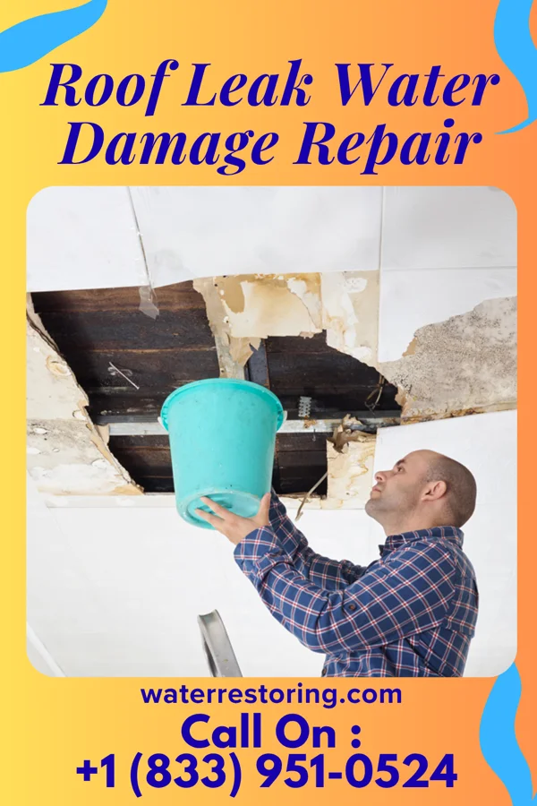 Roof Leak Water Damage Repair in Mechanicstown, NY