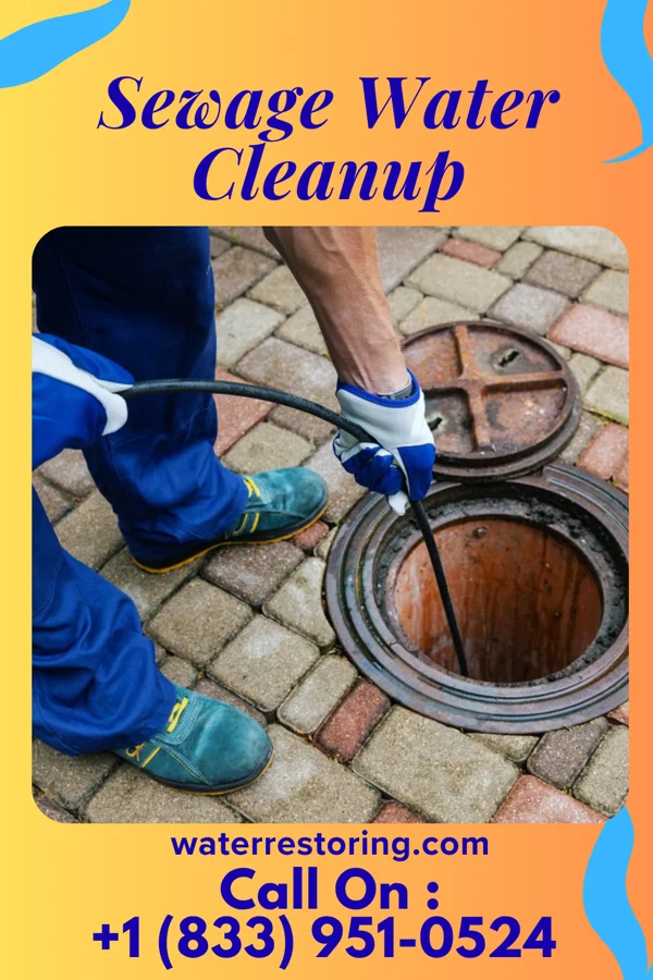 Sewage Water Cleanup in Mechanicstown, NY