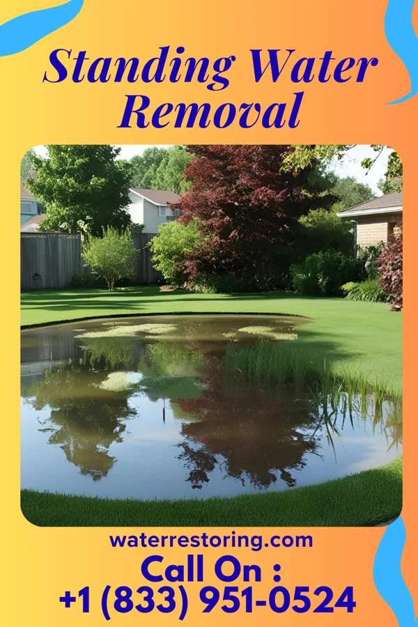 Standing Water Removal in Mechanicstown, NY